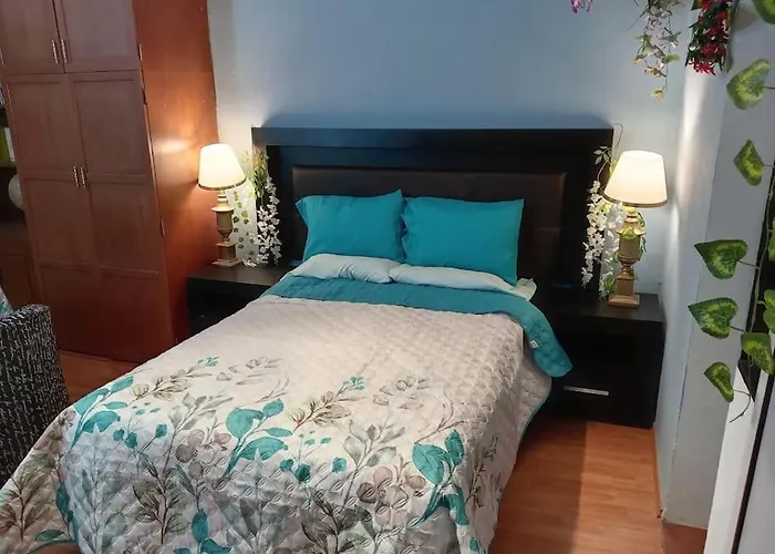 La Mas Comoda Y Elegante Apartamento México DF