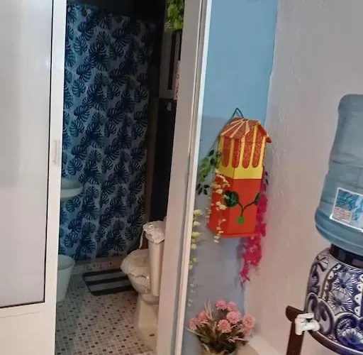 La Mas Comoda Y Elegante Apartamento México DF