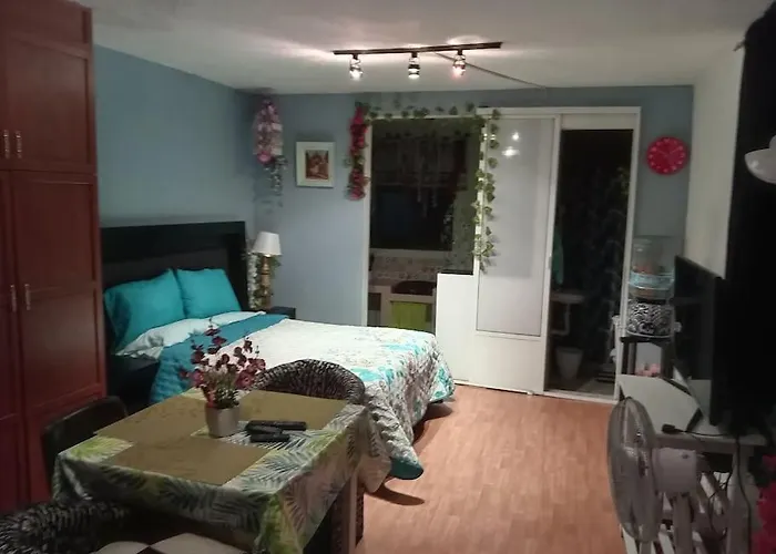 Apartamento La Mas Comoda Y Elegante México DF
