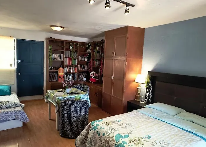 La Mas Comoda Y Elegante Apartamento *